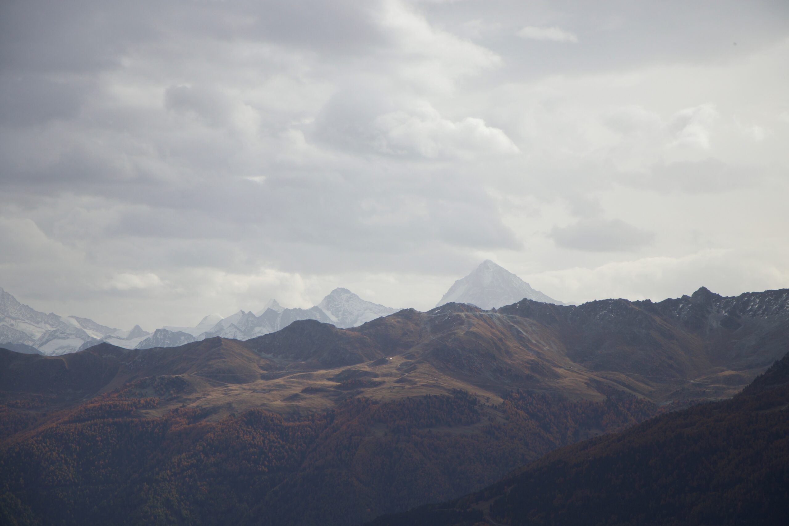 Ranger nature dans le Jura vaudois Sortie nature en Suisse romande Sensibilisation à la biodiversité