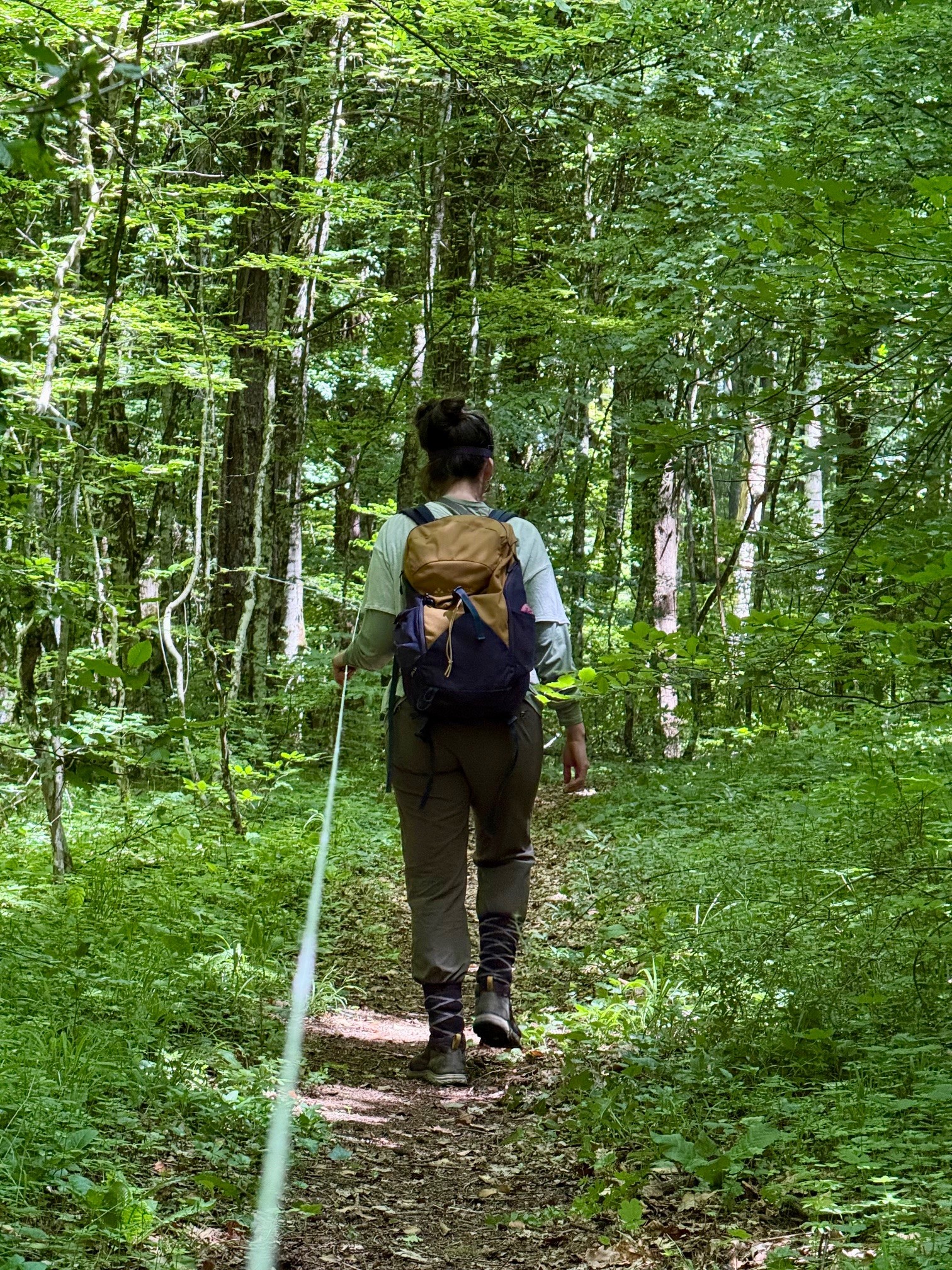 Parcours sensoriel organisé par le Bureau des Rangers lors de la fête de la nature au Bois de Chênes de Genolier en suisse romande Ranger nature dans le Jura vaudois Sortie nature en Suisse romande Sensibilisation à la biodiversité