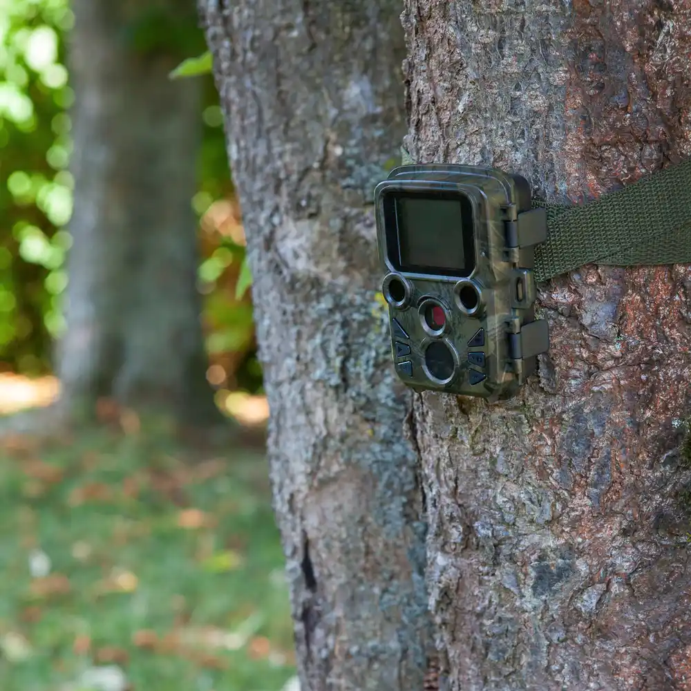 Piège photographique installé en forêt pour le monitoring écologique et le suivi des espèces